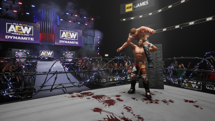 AEW: Fight Forever Elite Edition, Steam Gift