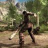 Игра Arcania PC / ПК, активация в стим Steam для региона РФ / Россия цифровой ключ