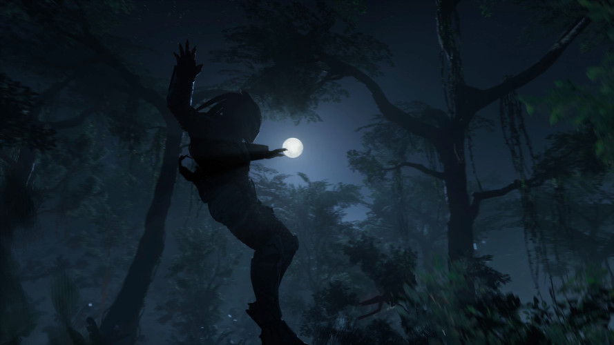 Predator DLC Bundle, Steam Gift
