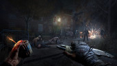 Dying Light: The Beast, Steam Gift
