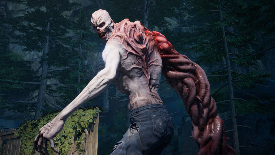 Back 4 Blood, Steam Gift