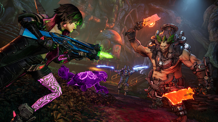 Borderlands 4, Steam Gift