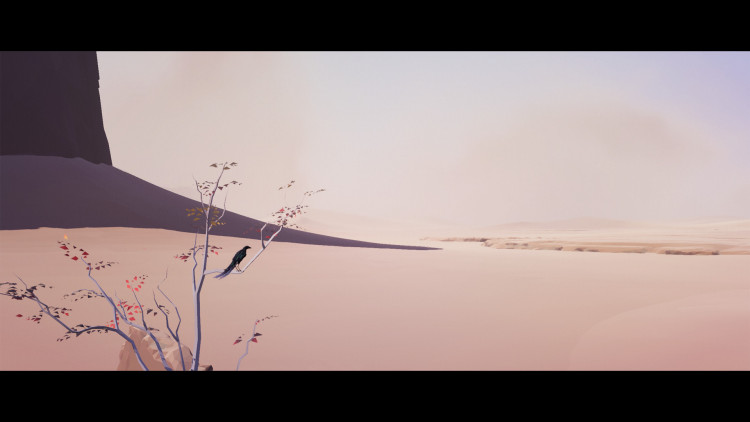 Vane, Steam Gift