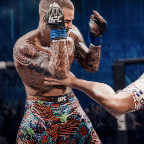 Игра UFC™ 6 PlayStation 5