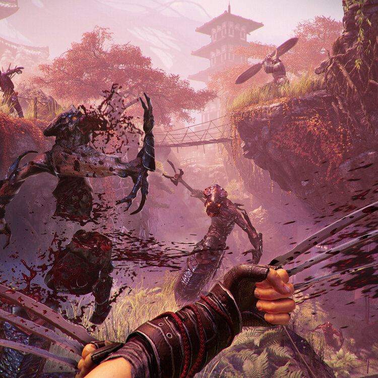 Shadow Warrior 2