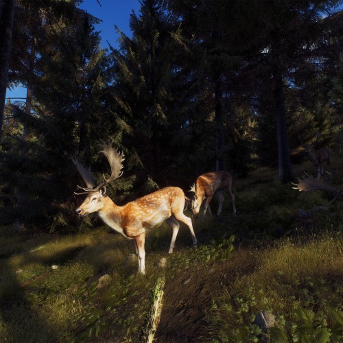 Игра Way of the Hunter для PC / ПК, активация в стим Steam для региона РФ / Россия цифровой ключ