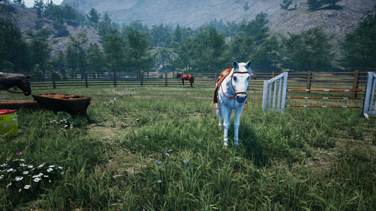 Ranch Simulator: Build, Hunt, Farm, Steam Gift