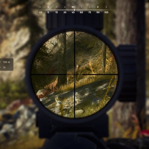 Игра Way of the Hunter Elite Edition для PC / ПК, активация в стим Steam для региона РФ / Россия цифровой ключ