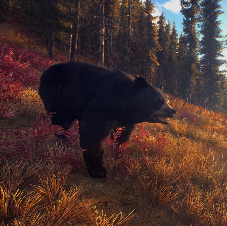 Игра Way of the Hunter Elite Edition для PC / ПК, активация в стим Steam для региона РФ / Россия цифровой ключ