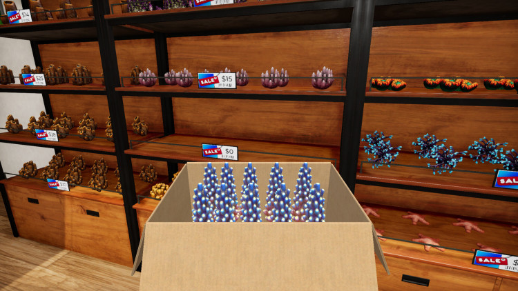 Aquatic Store Simulator, Steam Gift