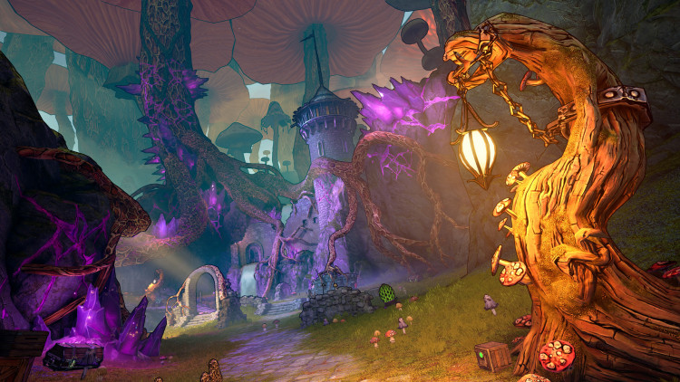 Tiny Tina's Wonderlands, Steam Gift