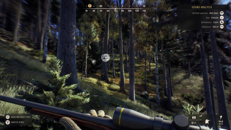 Way of the Hunter, Steam Gift