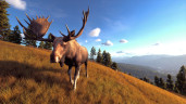 Way of the Hunter, Steam Gift
