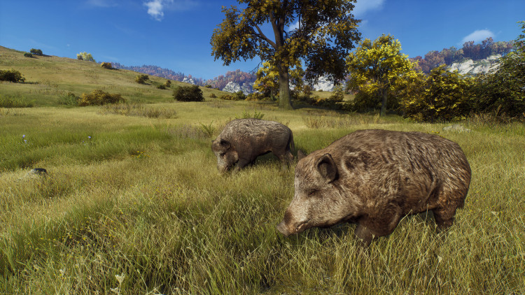 Way of the Hunter, Steam Gift