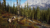 Way of the Hunter, Steam Gift