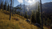 Way of the Hunter, Steam Gift