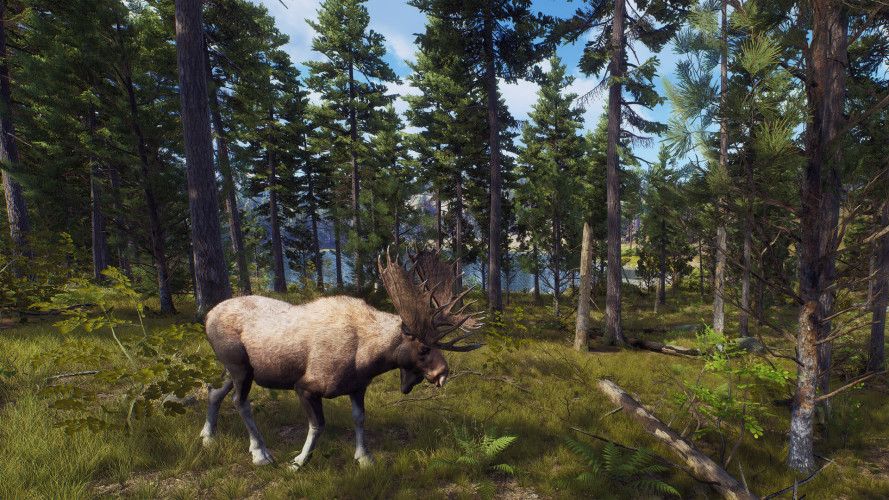 Way of the Hunter, Steam Gift