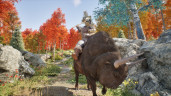 Mortal Online 2, Steam Gift