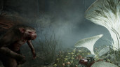 Mortal Online 2, Steam Gift