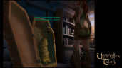The Book of Unwritten Tales, Steam Gift