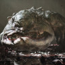 Mortal Shell II