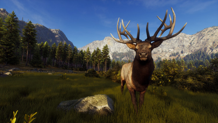 Way of the Hunter - Elite Edition, Steam Gift