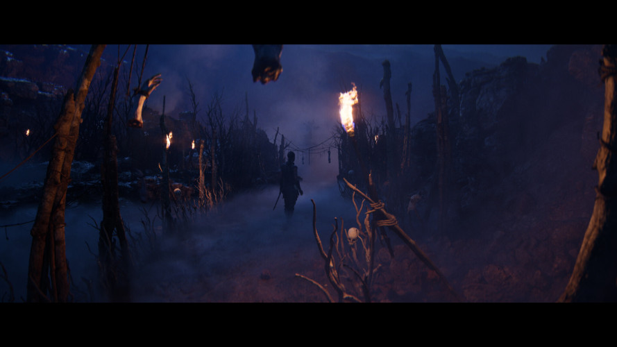 Senua’s Saga: Hellblade II - Deluxe Edition, Steam Gift