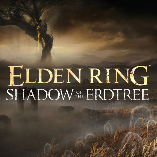 DLC Дополнение ELDEN RING Shadow of the Erdtree Edition для PC / ПК, активация в стим Steam для региона РФ / Россия цифровой ключ