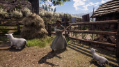 Medieval Dynasty, Steam Gift