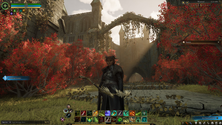 Ashes of Creation, Steam Gift