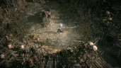 Path of Exile 2 - Lord of Ogham Supporter Pack, Steam Gift