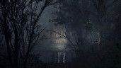 The 9th Charnel, Steam Gift