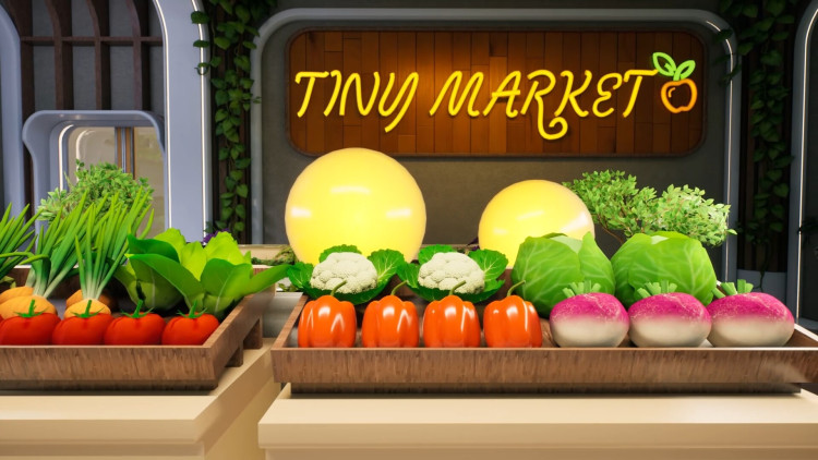 Tiny Eden, Steam Gift