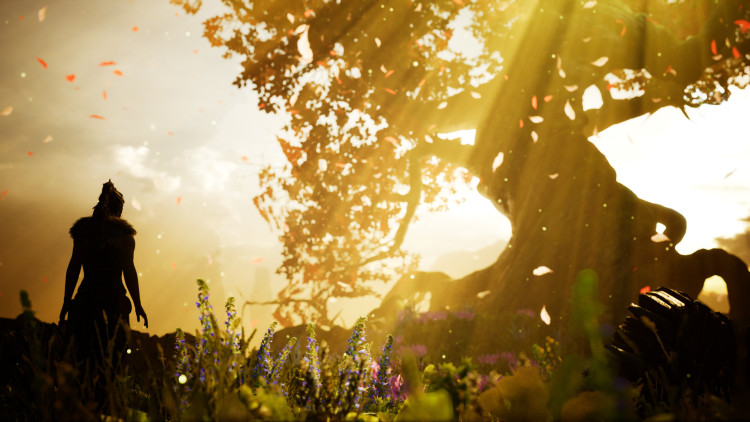 Hellblade: Senua's Sacrifice, Steam Gift