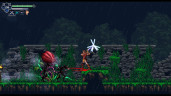 Chronicles of the Wolf, Steam Gift