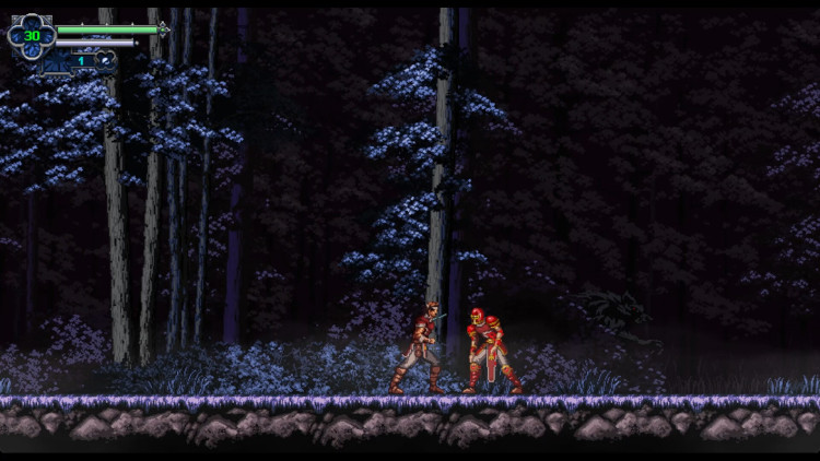 Chronicles of the Wolf, Steam Gift