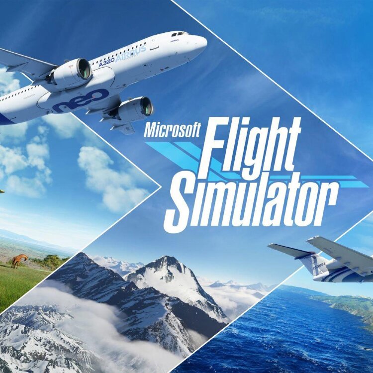 Microsoft Flight Simulator Standart 40th Anniversary Edition