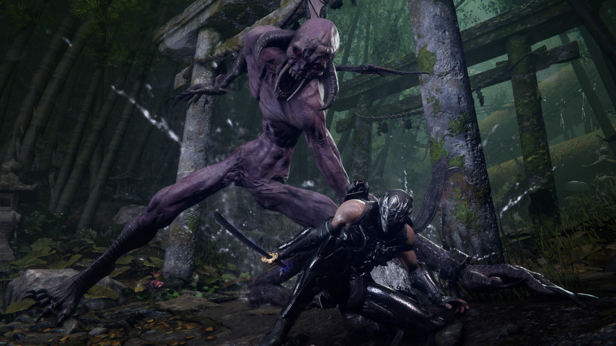 NINJA GAIDEN 4, Steam Gift
