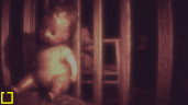 The Childs Sight, Steam Gift