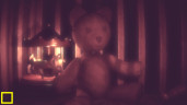 The Childs Sight, Steam Gift