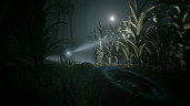 Outlast 2, Steam Gift