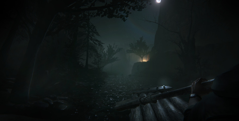 Outlast 2, Steam Gift