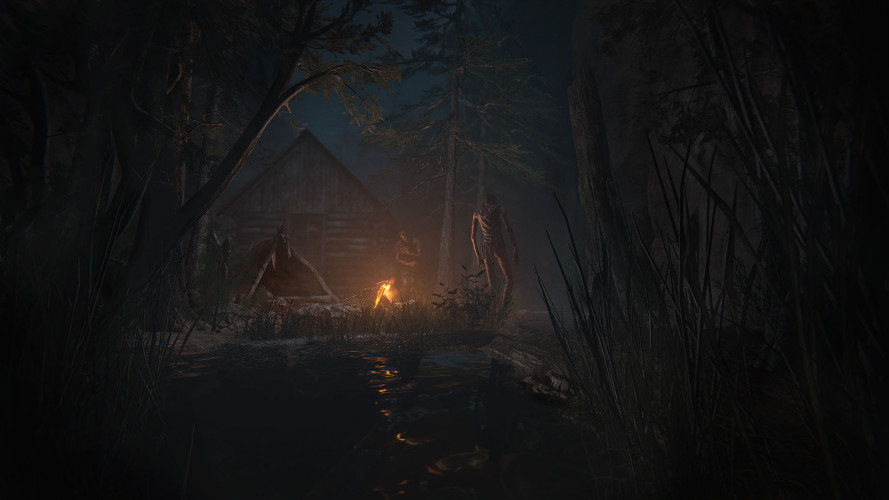 Outlast 2, Steam Gift