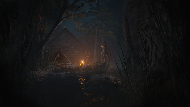 Outlast 2, Steam Gift