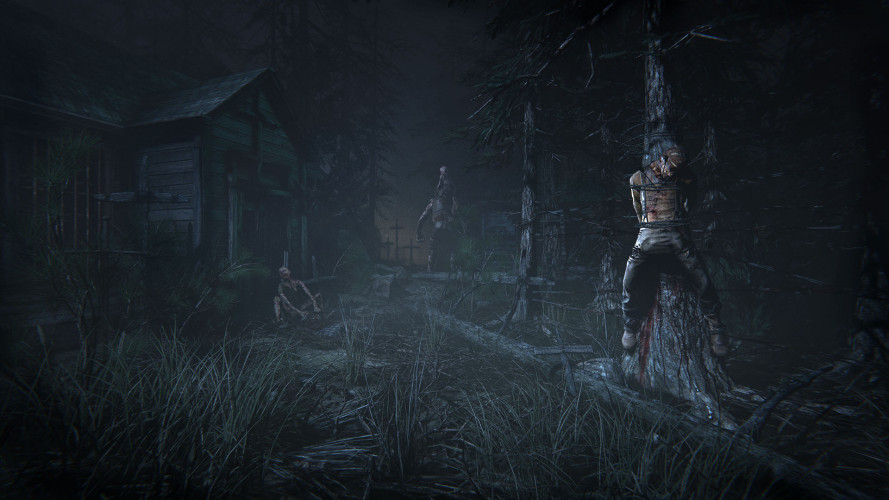 Outlast 2, Steam Gift