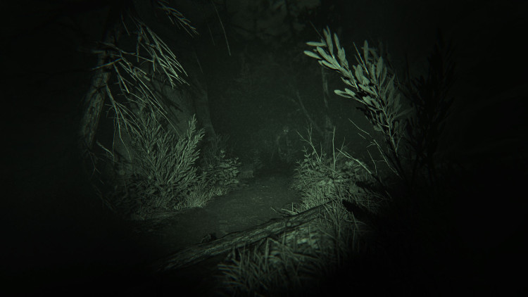 Outlast 2, Steam Gift