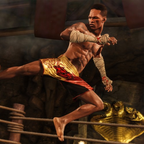 UFC 4 Deluxe Edition