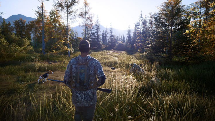 Hunting Simulator 2, Steam Gift