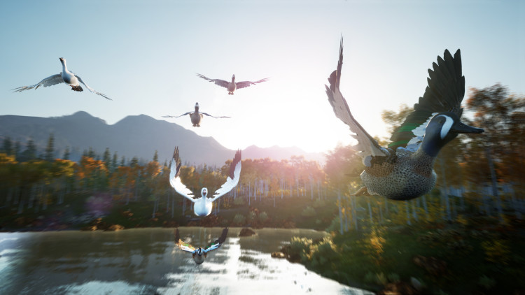 Hunting Simulator 2, Steam Gift