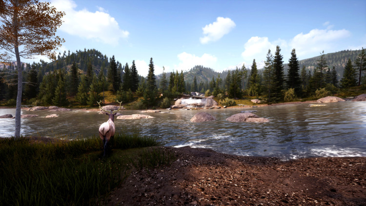 Hunting Simulator 2, Steam Gift